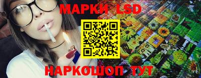 стафф Донецк