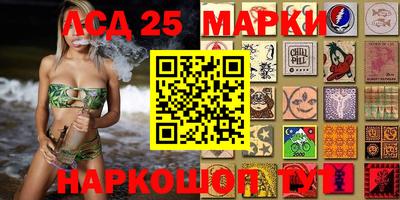 стафф Донецк