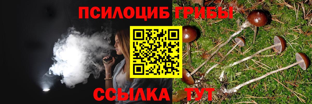 Галлюциногенные грибы MAGIC MUSHROOMS Кувандык