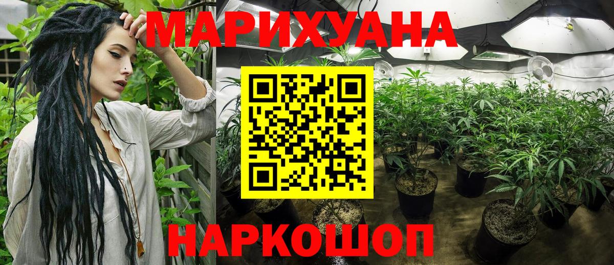 Каннабис планчик Кувандык